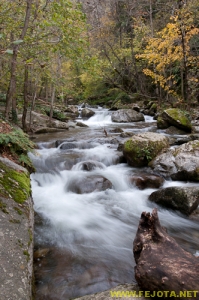 Nombre del archivo=081104_150.jpg
Tamaño del archivo=286Kb
Dimensiones=332x500
Fecha añadida=25 de Noviembre de 11 081104_150.jpg