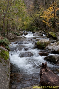 Nombre del archivo=081104_153.jpg
Tamaño del archivo=307Kb
Dimensiones=332x500
Fecha añadida=25 de Noviembre de 11 081104_153.jpg