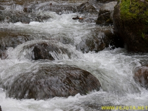 Nombre del archivo=081104_155.jpg
Tamaño del archivo=258Kb
Dimensiones=500x375
Fecha añadida=25 de Noviembre de 11 081104_155.jpg