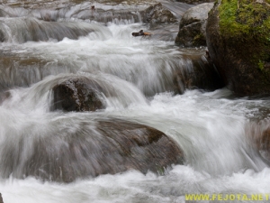 Nombre del archivo=081104_156.jpg
Tamaño del archivo=214Kb
Dimensiones=500x375
Fecha añadida=25 de Noviembre de 11 081104_156.jpg