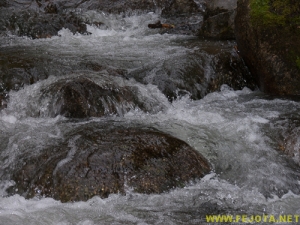 Nombre del archivo=081104_160.jpg
Tamaño del archivo=263Kb
Dimensiones=500x375
Fecha añadida=25 de Noviembre de 11 081104_160.jpg