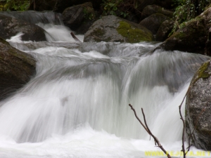 Nombre del archivo=081104_165.jpg
Tamaño del archivo=187Kb
Dimensiones=500x375
Fecha añadida=25 de Noviembre de 11 081104_165.jpg