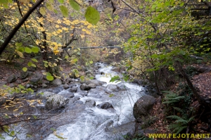 Nombre del archivo=081104_166.jpg
Tamaño del archivo=355Kb
Dimensiones=500x332
Fecha añadida=25 de Noviembre de 11 081104_166.jpg