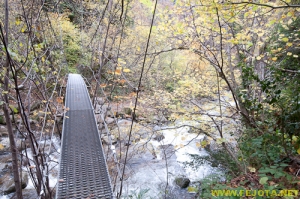 Nombre del archivo=081104_167.jpg
Tamaño del archivo=379Kb
Dimensiones=500x332
Fecha añadida=25 de Noviembre de 11 081104_167.jpg