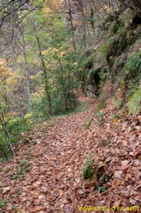 Nombre del archivo=081104_178.jpg
Tamaño del archivo=374Kb
Dimensiones=332x500
Fecha añadida=25 de Noviembre de 11 081104_178.jpg