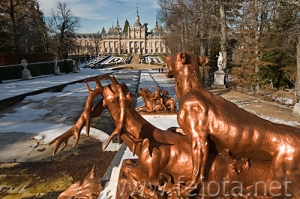 Nombre del archivo=081220__004.jpg
Tamaño del archivo=107Kb
Dimensiones=500x332
Fecha añadida=14 de Noviembre de 11 081220__004.jpg