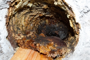 Nombre del archivo=090214_092.jpg
Tamaño del archivo=188Kb
Dimensiones=500x332
Fecha añadida=19 de Junio de 12 090214_092.jpg