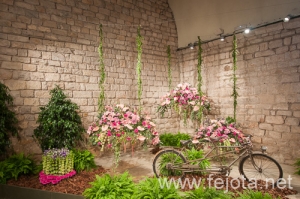 Nombre del archivo=090509_023.jpg
Tamaño del archivo=169Kb
Dimensiones=500x332
Fecha añadida=16 de Enero de 13 090509_023.jpg