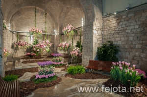 Nombre del archivo=090509_032.jpg
Tamaño del archivo=166Kb
Dimensiones=500x332
Fecha añadida=16 de Enero de 13 090509_032.jpg