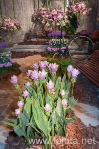 Nombre del archivo=090509_035.jpg
Tamaño del archivo=234Kb
Dimensiones=332x500
Fecha añadida=16 de Enero de 13 090509_035.jpg