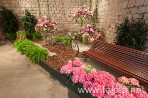 Nombre del archivo=090509_038.jpg
Tamaño del archivo=177Kb
Dimensiones=500x332
Fecha añadida=16 de Enero de 13 090509_038.jpg