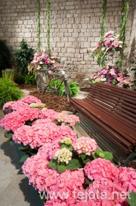 Nombre del archivo=090509_041.jpg
Tamaño del archivo=219Kb
Dimensiones=332x500
Fecha añadida=16 de Enero de 13 090509_041.jpg