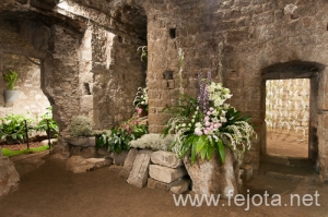 Nombre del archivo=090509_073.jpg
Tamaño del archivo=151Kb
Dimensiones=500x332
Fecha añadida=16 de Enero de 13 090509_073.jpg