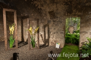 Nombre del archivo=090509_076.jpg
Tamaño del archivo=152Kb
Dimensiones=500x332
Fecha añadida=16 de Enero de 13 090509_076.jpg