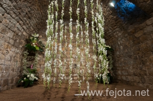 Nombre del archivo=090509_081.jpg
Tamaño del archivo=166Kb
Dimensiones=500x332
Fecha añadida=16 de Enero de 13 090509_081.jpg