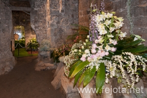 Nombre del archivo=090509_092.jpg
Tamaño del archivo=193Kb
Dimensiones=500x332
Fecha añadida=16 de Enero de 13 090509_092.jpg