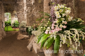 Nombre del archivo=090509_095.jpg
Tamaño del archivo=177Kb
Dimensiones=500x332
Fecha añadida=16 de Enero de 13 090509_095.jpg