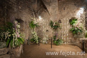 Nombre del archivo=090509_097.jpg
Tamaño del archivo=148Kb
Dimensiones=500x332
Fecha añadida=16 de Enero de 13 090509_097.jpg