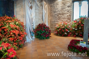 Nombre del archivo=090509_103.jpg
Tamaño del archivo=185Kb
Dimensiones=500x332
Fecha añadida=16 de Enero de 13 090509_103.jpg