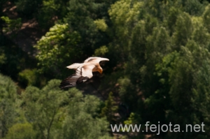 Nombre del archivo=090702__014.jpg
Tamaño del archivo=105Kb
Dimensiones=500x332
Fecha añadida=23 de Enero de 13 090702__014.jpg