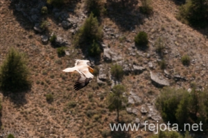 Nombre del archivo=090702__016.jpg
Tamaño del archivo=130Kb
Dimensiones=500x332
Fecha añadida=23 de Enero de 13 090702__016.jpg