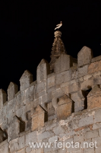 Nombre del archivo=090705__011.jpg
Tamaño del archivo=126Kb
Dimensiones=332x500
Fecha añadida=23 de Enero de 13 090705__011.jpg