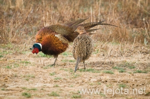 Nombre del archivo=091006_076.jpg
Tamaño del archivo=172Kb
Dimensiones=500x333
Fecha añadida=20 de Febrero de 13 091006_076.jpg