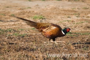 Nombre del archivo=091006_103.jpg
Tamaño del archivo=164Kb
Dimensiones=500x333
Fecha añadida=20 de Febrero de 13 091006_103.jpg