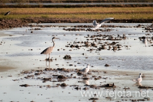 Nombre del archivo=091024_027.jpg
Tamaño del archivo=375Kb
Dimensiones=500x332
Fecha añadida=27 de Febrero de 13 091024_027.jpg