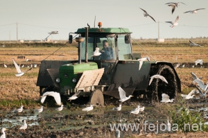 Nombre del archivo=091024_031.jpg
Tamaño del archivo=151Kb
Dimensiones=500x332
Fecha añadida=27 de Febrero de 13 091024_031.jpg
