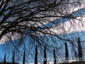 Nombre del archivo=100114_028.jpg
Tamaño del archivo=221Kb
Dimensiones=500x375
Fecha añadida=06 de Septiembre de 13 100114_028.jpg