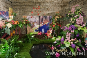 Nombre del archivo=100507_016.jpg
Tamaño del archivo=182Kb
Dimensiones=500x332
Fecha añadida=07 de Septiembre de 13 100507_016.jpg