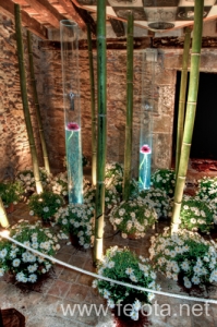 Nombre del archivo=100512_028.jpg
Tamaño del archivo=176Kb
Dimensiones=332x500
Fecha añadida=03 de Marzo de 14 100512_028.jpg