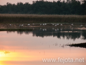 Nombre del archivo=101023_007.jpg
Tamaño del archivo=92Kb
Dimensiones=500x375
Fecha añadida=07 de Abril de 14 101023_007.jpg