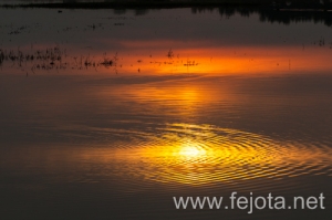 Nombre del archivo=101023_020.jpg
Tamaño del archivo=94Kb
Dimensiones=500x332
Fecha añadida=07 de Abril de 14 101023_020.jpg