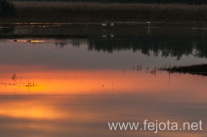 Nombre del archivo=101023_021.jpg
Tamaño del archivo=70Kb
Dimensiones=500x332
Fecha añadida=07 de Abril de 14 101023_021.jpg