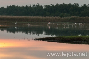 Nombre del archivo=101023_022.jpg
Tamaño del archivo=82Kb
Dimensiones=500x332
Fecha añadida=07 de Abril de 14 101023_022.jpg