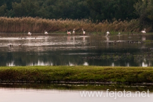 Nombre del archivo=101023_038.jpg
Tamaño del archivo=116Kb
Dimensiones=500x332
Fecha añadida=07 de Abril de 14 101023_038.jpg