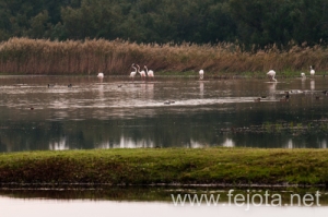Nombre del archivo=101023_040.jpg
Tamaño del archivo=113Kb
Dimensiones=500x332
Fecha añadida=07 de Abril de 14 101023_040.jpg