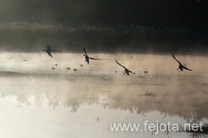 Nombre del archivo=101029_020.jpg
Tamaño del archivo=66Kb
Dimensiones=500x332
Fecha añadida=02 de Enero de 13 101029_020.jpg