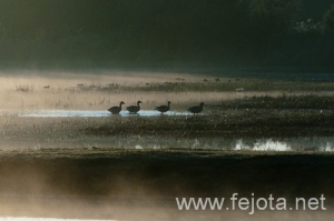 Nombre del archivo=101029_026.jpg
Tamaño del archivo=81Kb
Dimensiones=500x332
Fecha añadida=02 de Enero de 13 101029_026.jpg