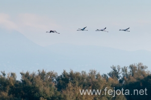 Nombre del archivo=101029_039.jpg
Tamaño del archivo=72Kb
Dimensiones=500x332
Fecha añadida=02 de Enero de 13 101029_039.jpg