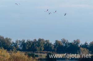 Nombre del archivo=101029_043.jpg
Tamaño del archivo=80Kb
Dimensiones=500x332
Fecha añadida=02 de Enero de 13 101029_043.jpg