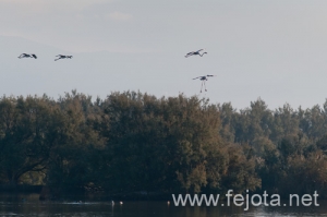 Nombre del archivo=101029_053.jpg
Tamaño del archivo=75Kb
Dimensiones=500x332
Fecha añadida=02 de Enero de 13 101029_053.jpg