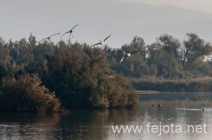 Nombre del archivo=101029_054.jpg
Tamaño del archivo=98Kb
Dimensiones=500x332
Fecha añadida=02 de Enero de 13 101029_054.jpg