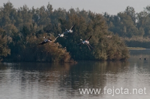 Nombre del archivo=101029_055.jpg
Tamaño del archivo=105Kb
Dimensiones=500x332
Fecha añadida=02 de Enero de 13 101029_055.jpg