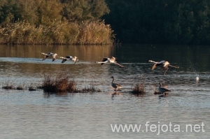 Nombre del archivo=101029_079.jpg
Tamaño del archivo=117Kb
Dimensiones=500x332
Fecha añadida=02 de Enero de 13 101029_079.jpg