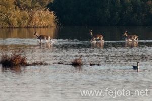 Nombre del archivo=101029_085.jpg
Tamaño del archivo=120Kb
Dimensiones=500x332
Fecha añadida=02 de Enero de 13 101029_085.jpg