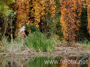 Nombre del archivo=101030_004.jpg
Tamaño del archivo=325Kb
Dimensiones=500x375
Fecha añadida=03 de Enero de 13 101030_004.jpg