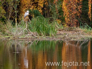 Nombre del archivo=101030_005.jpg
Tamaño del archivo=212Kb
Dimensiones=500x375
Fecha añadida=03 de Enero de 13 101030_005.jpg